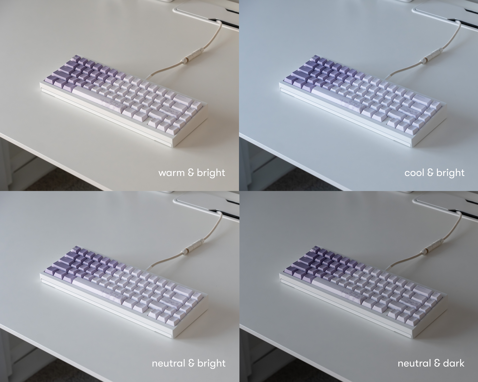 the bloom keycaps in 4 different lighting environments.