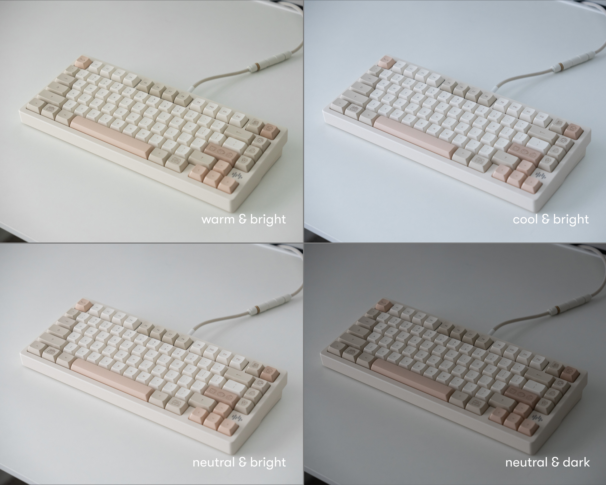 the cafe rose keycaps in marshmallow profile in 4 different lighting environments.