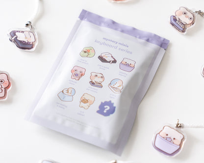 keyboard surprise acrylic charms