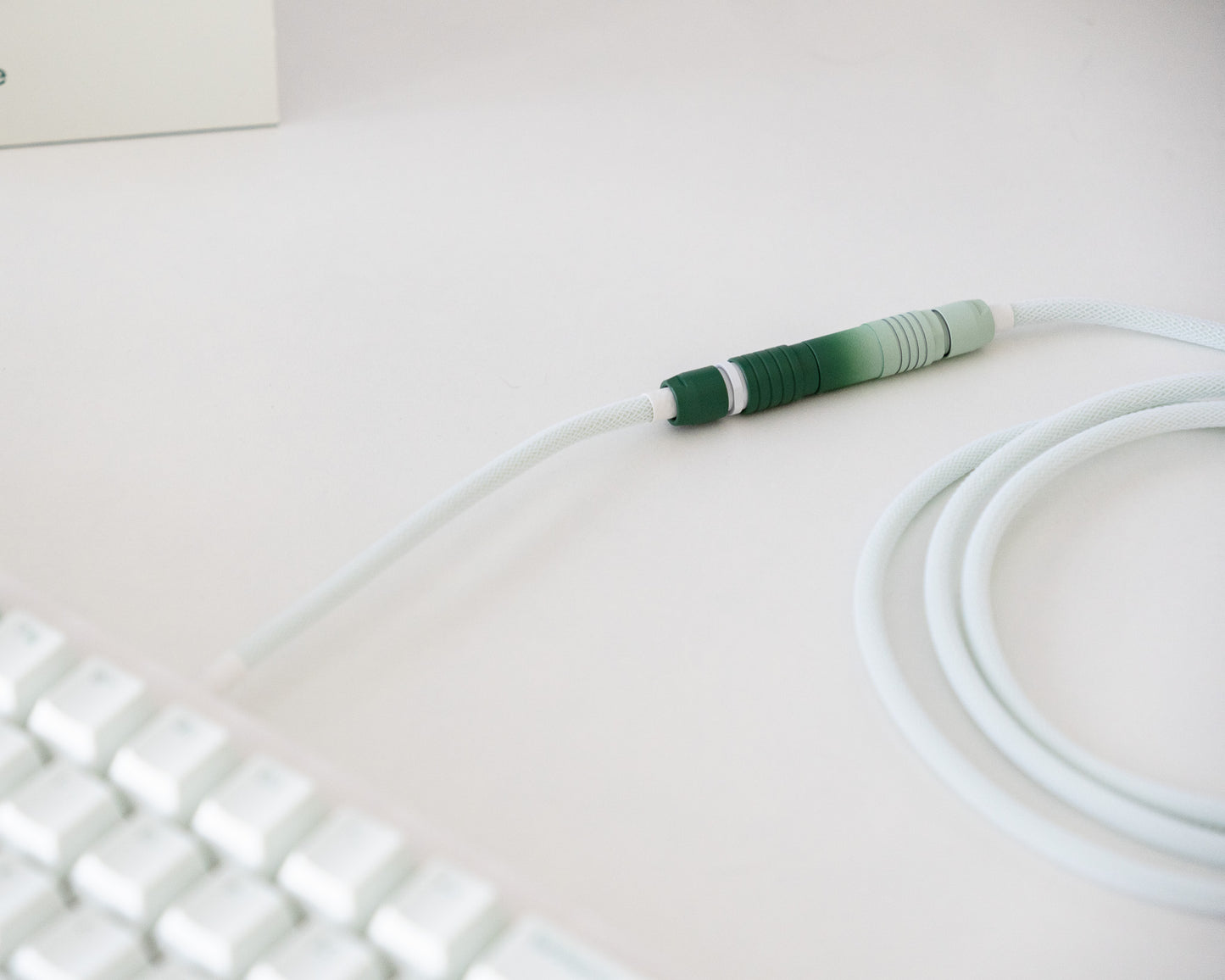 year of the snake cable