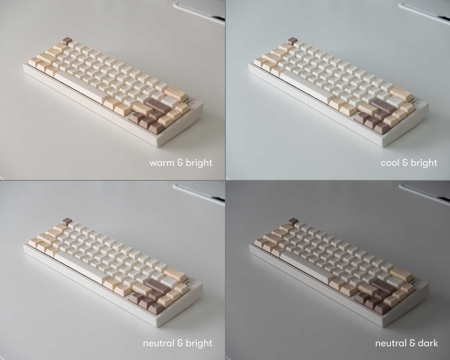 the dalgona keycaps in 4 different lighting environments.
