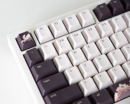 the dusk keycaps with dusk novelty keys on a white desk setup.