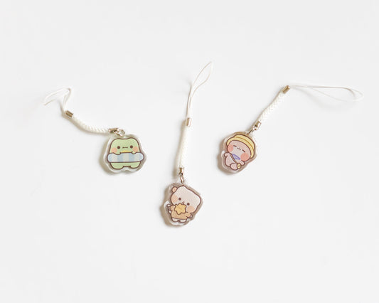 seasons surprise acrylic charms