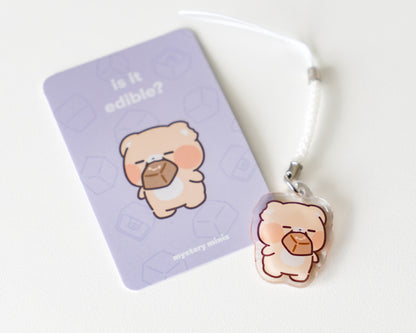 keyboard surprise acrylic charms